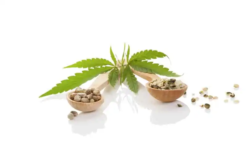 cannabis seeds next to a cannabis leaf isolated on white