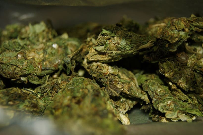Cannabis Stash