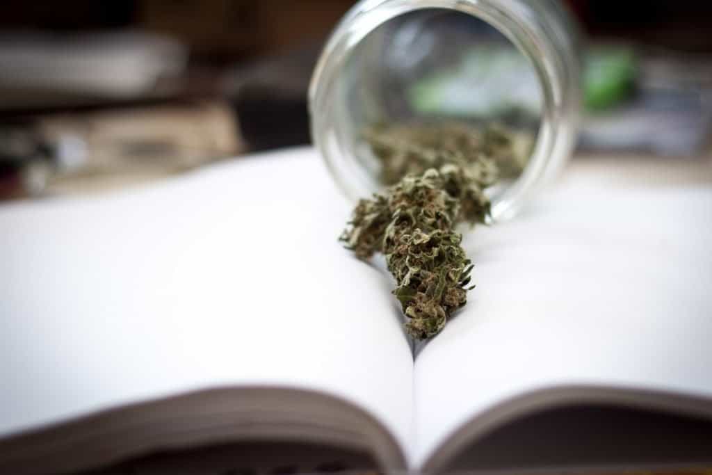 develop marijuana business plan. cannabis in jar on a book