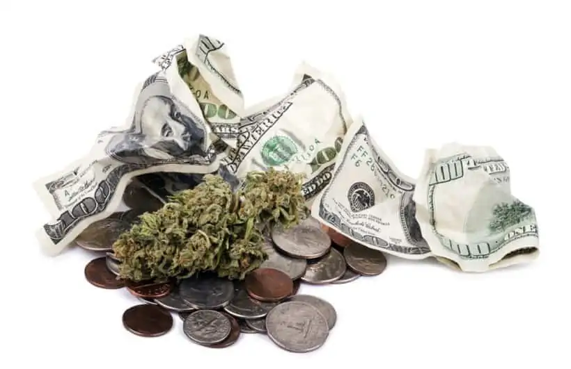 Marijuana Salaries