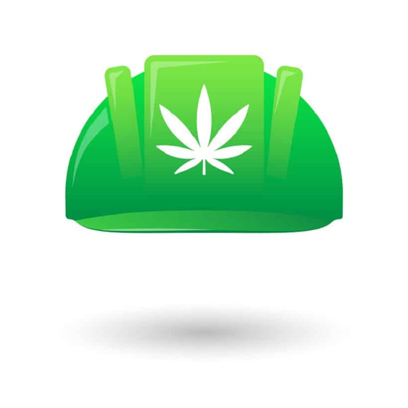 Cannabis Job