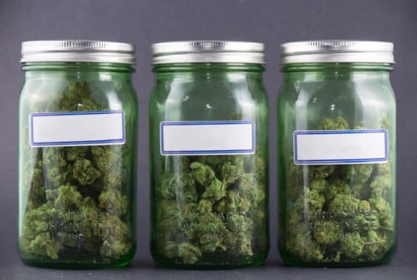 Top Marijuana Strains That Give You Higher Energy in 3 jars.