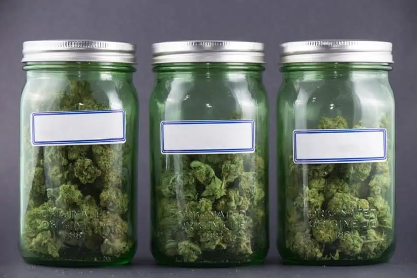 How To Get Started as a Medical Marijuana  Provider. Weed in glass jars.