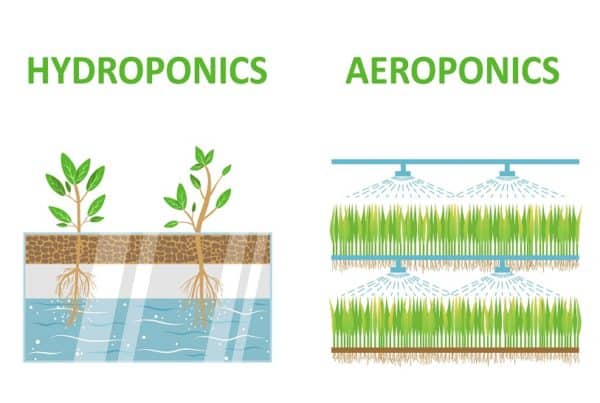 How to Make Your House Aeroponic System. Hydroponics vs Aeroponics.