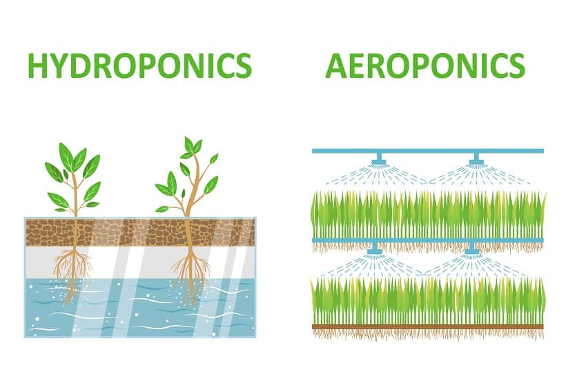 How to Make Your Home Aeroponic System
