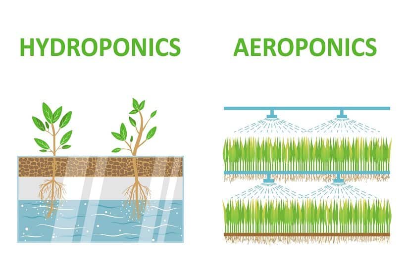 Aeroponic System