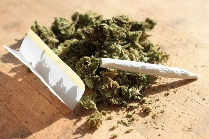 Illegal Marijuana