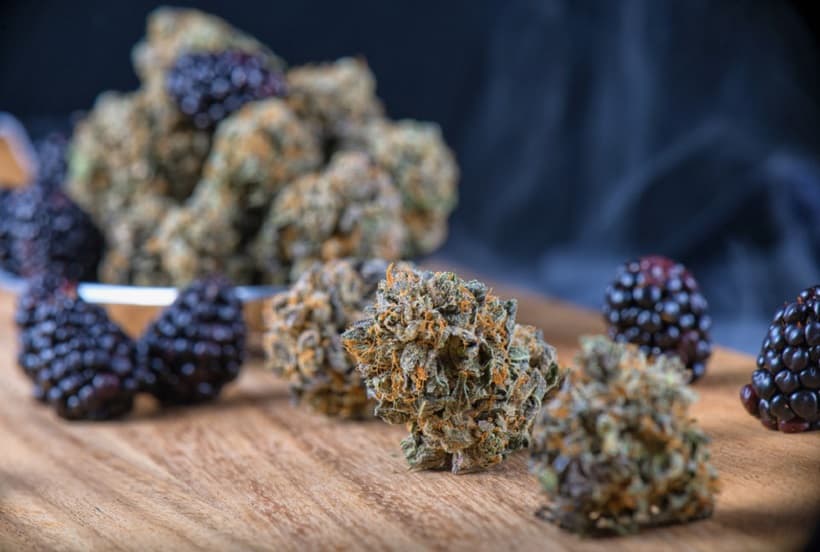 Marijuana Strain