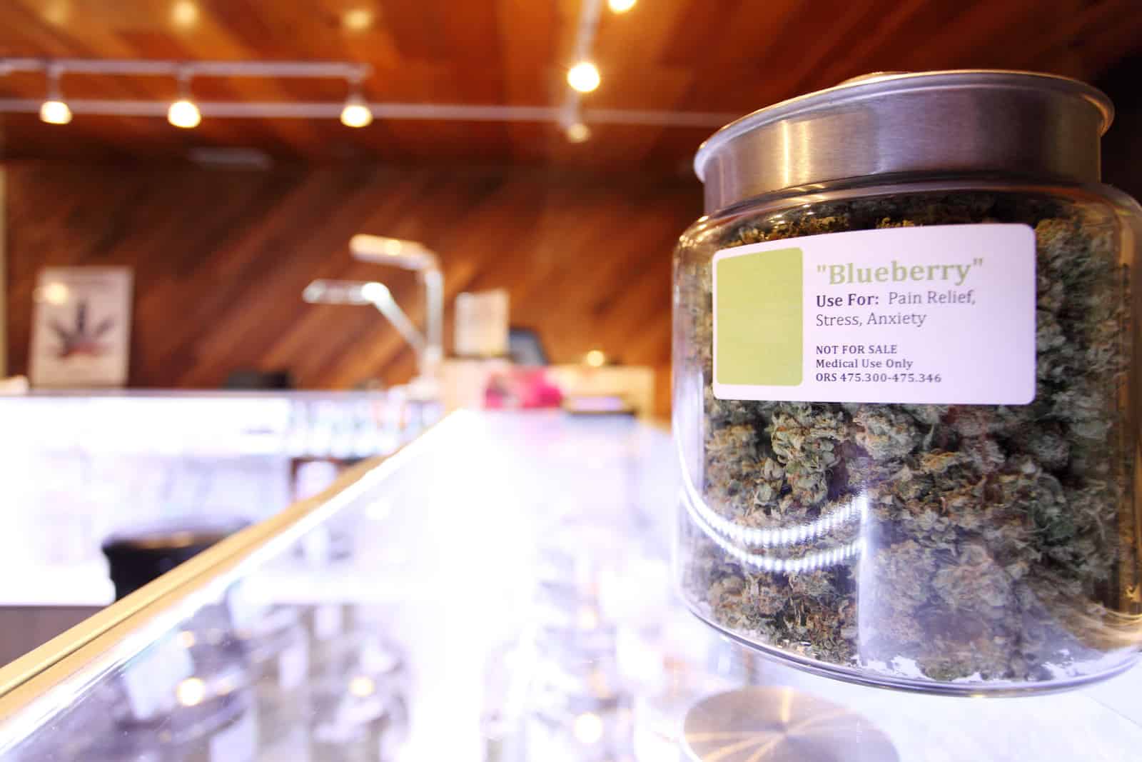 Becoming A Cannabis Budtender: What Employers & Customers Expect