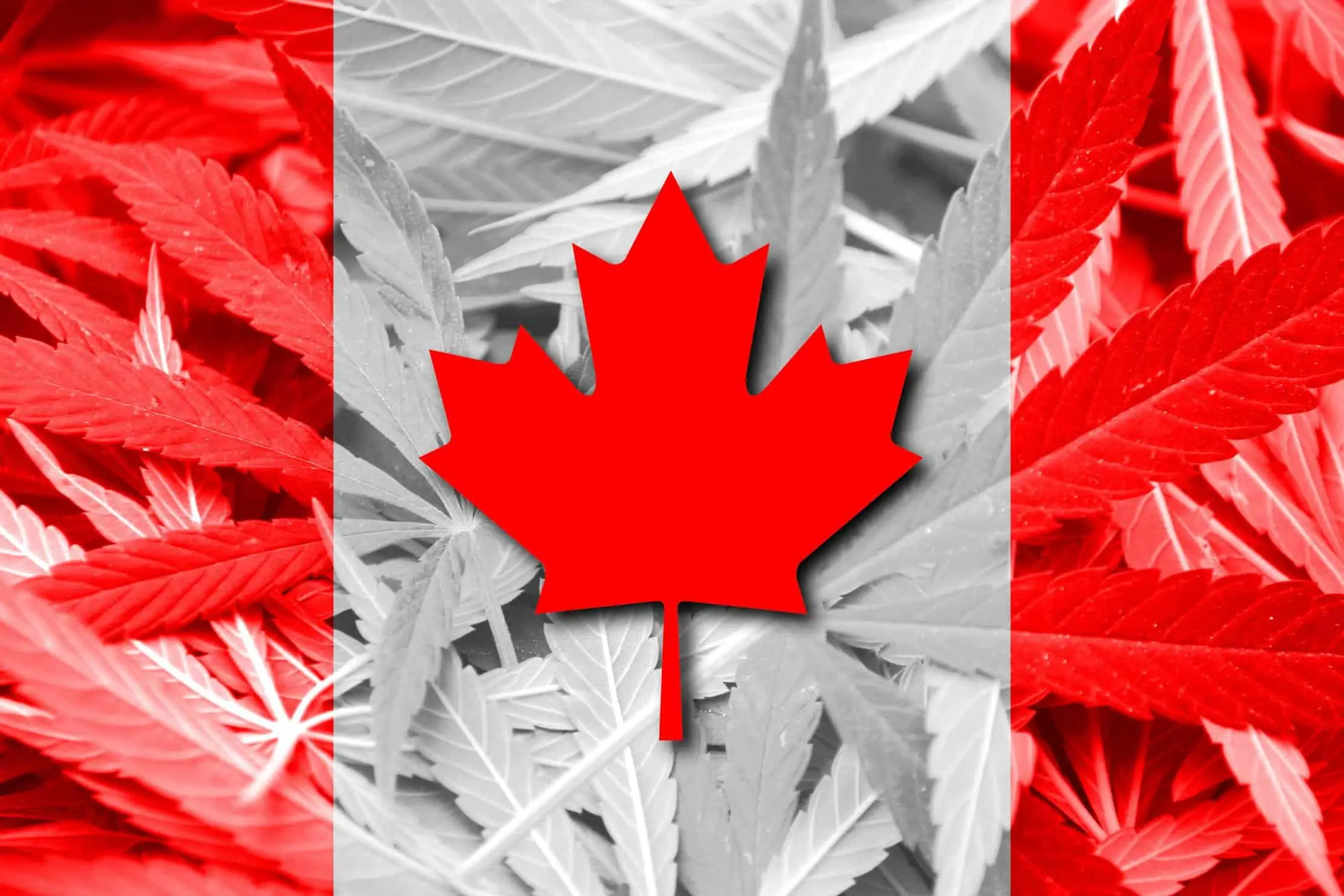 Here's What To Expect From Legalized Marijuana in Canada. Canadian flag.