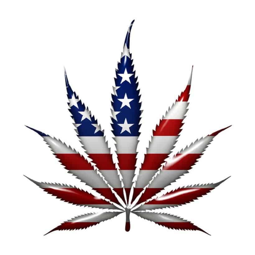Marijuana laws in America. Marijuana leaf in a flag
