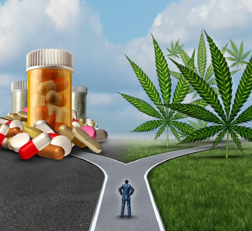 How Jake Honig Could Change the Marijuana Law