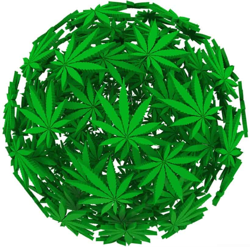 Cannabis Legalization