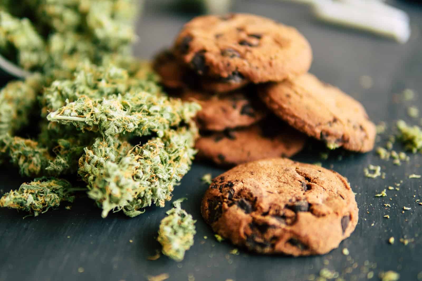 How Chefs Take Marijuana Edibles To The Next Leve. Cookies and marijuana buds.