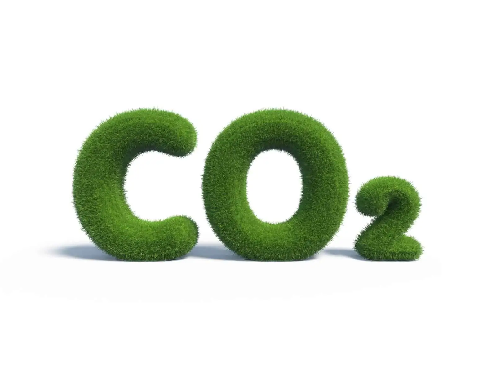How CO2 Affects Your Cannabis Garden 1 How CO2 Affects Your Marijuana Garden. CO2 sign.
