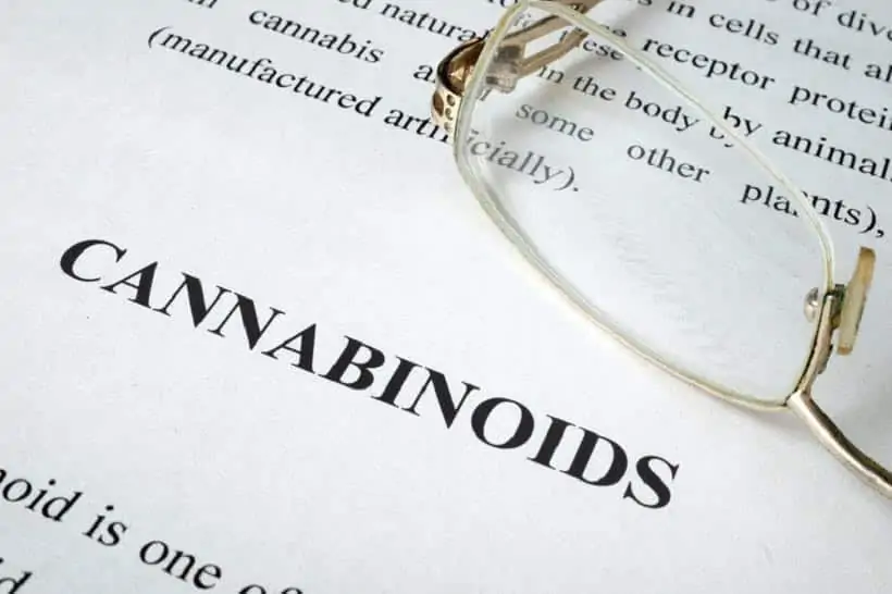 A Look At Different Cannabinoids And Their Benefits