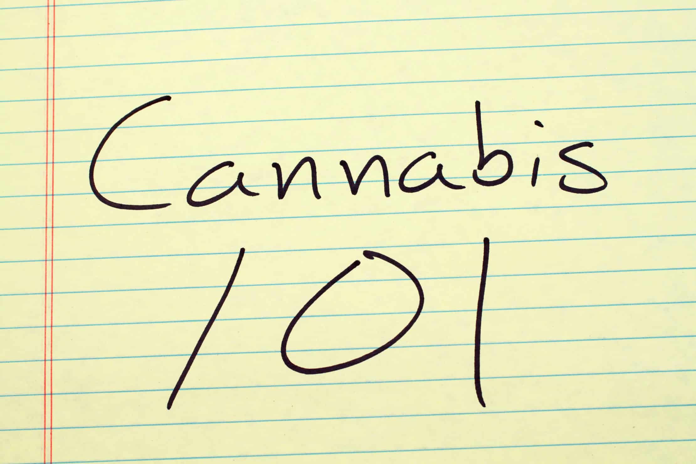 Back To School: Now Is The Perfect Time To Start Your Cannabis Training