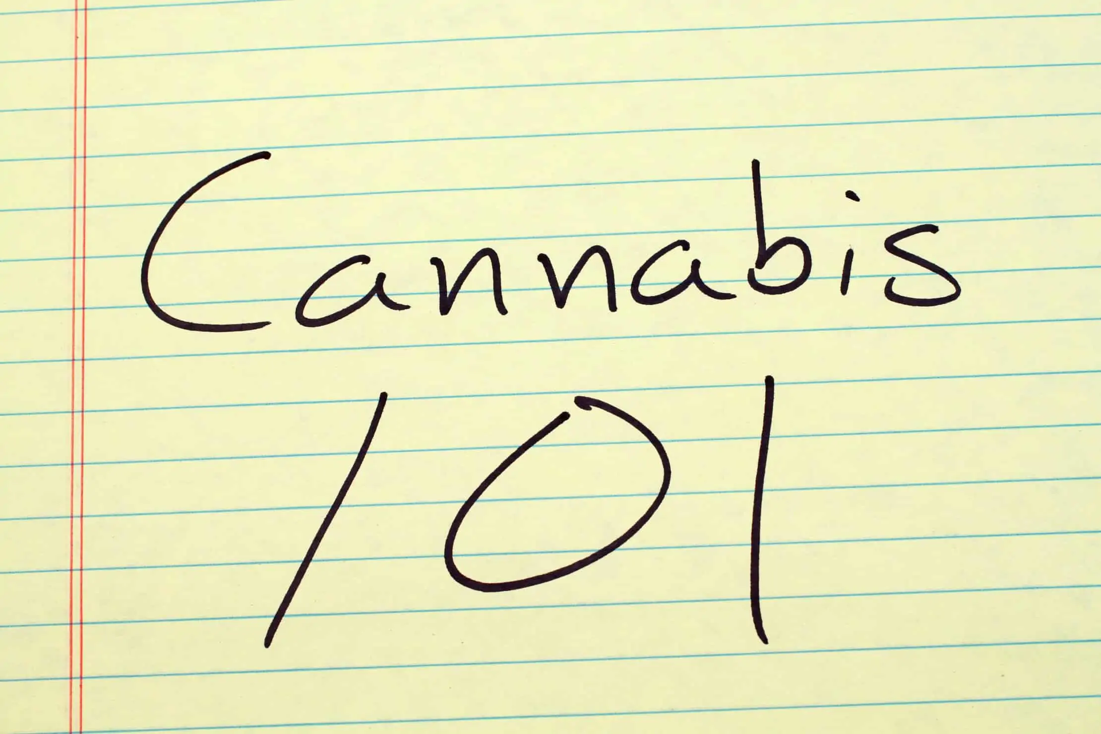 Now is the perfect time to start your marijuana training. Cannabis 101