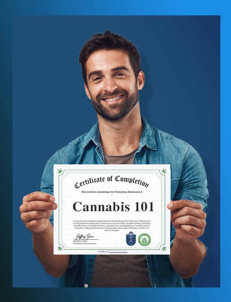 cannabis 101