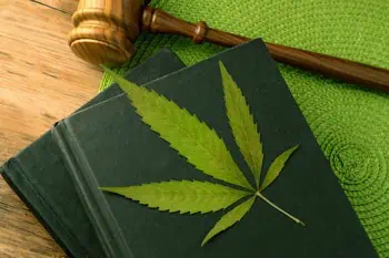 grow 6 intro cannabis laws