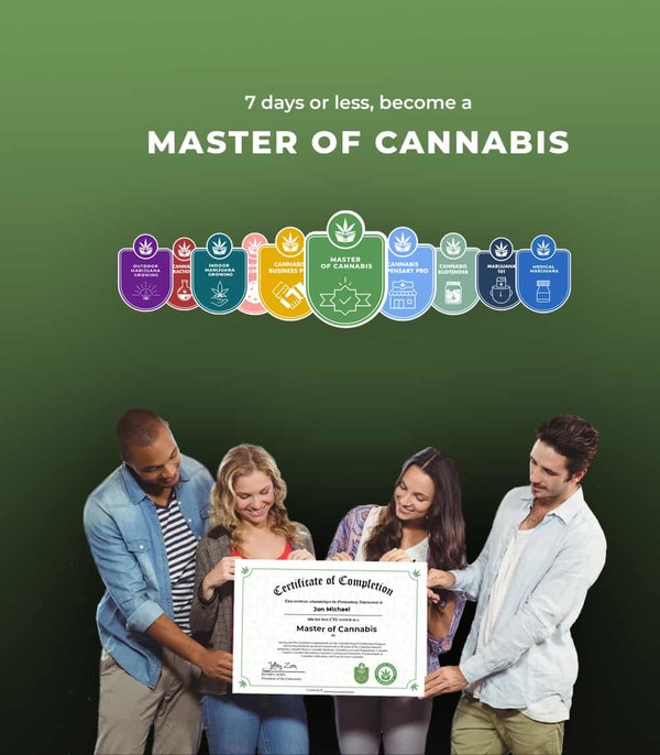 master of cannabis certification training courses