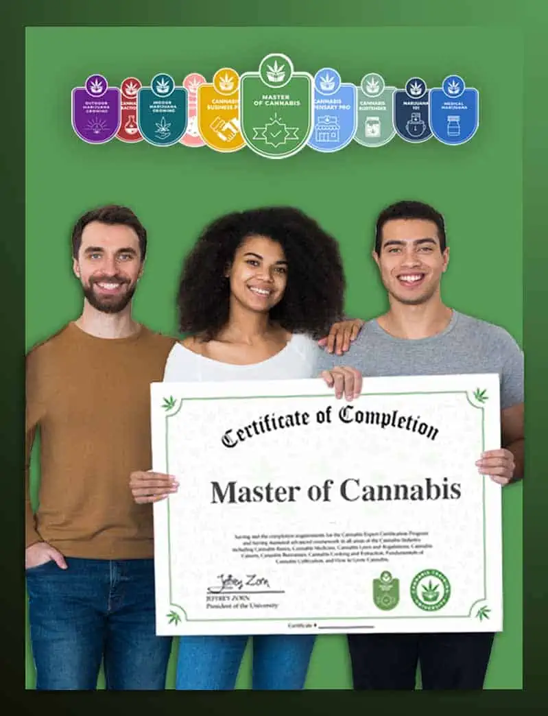 A group of people holding up an Online Master Program certificate with the words "Master of Cannabis.