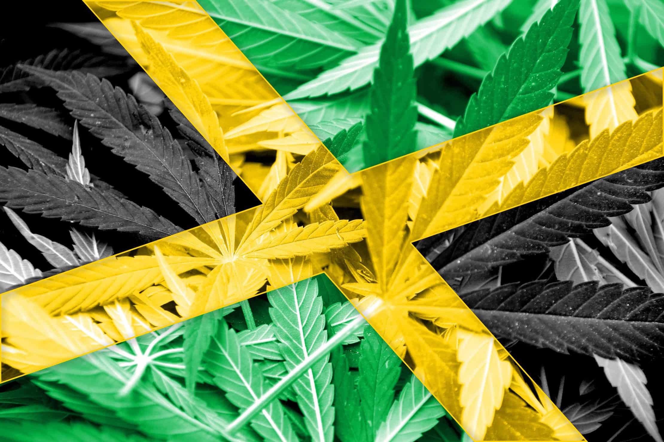 A Look at Marijuana Culture in Jamaica. Jamaican flag with weed leaves