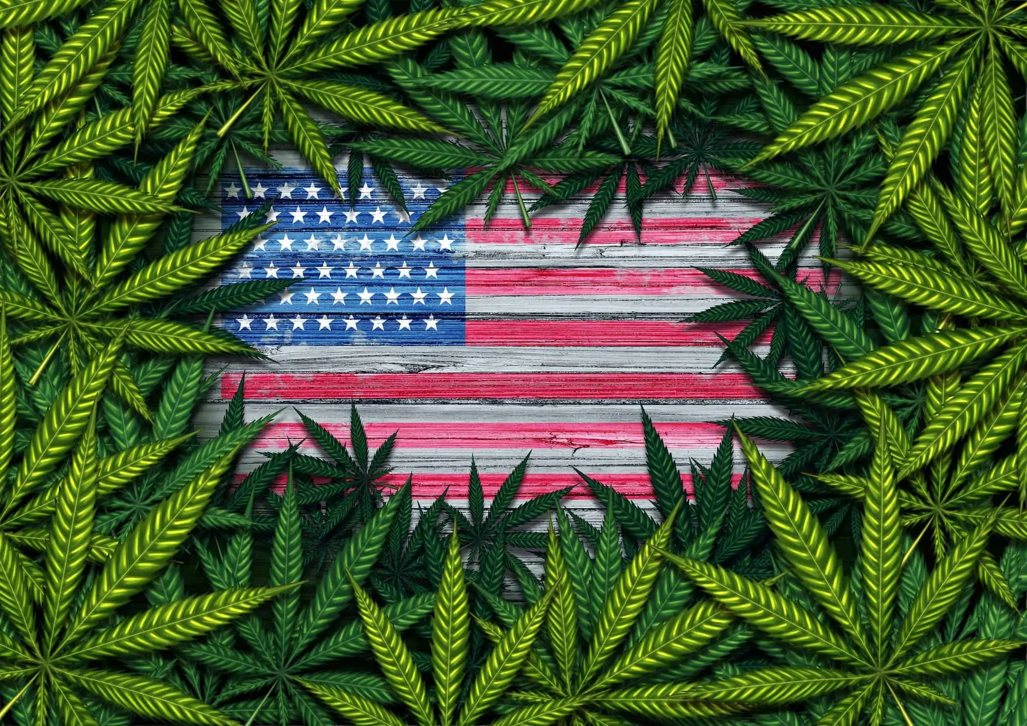 Bill to grant medical marijuana use to federal employees. US flag surrounded by marijuana leaves