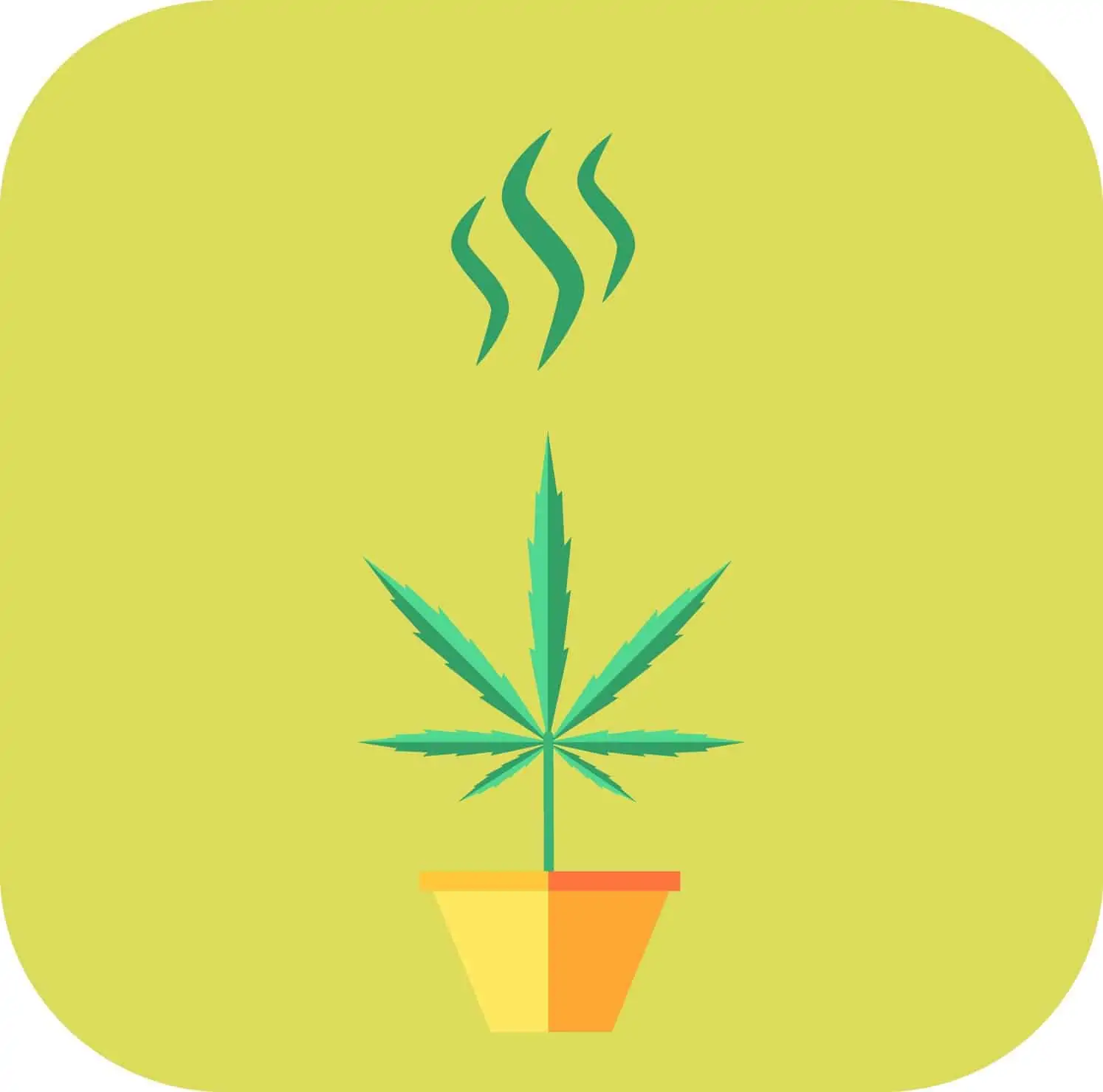 Marijuana Odor Control For Your Indoor Grow. Drawing of marijuana plant with yellow background.