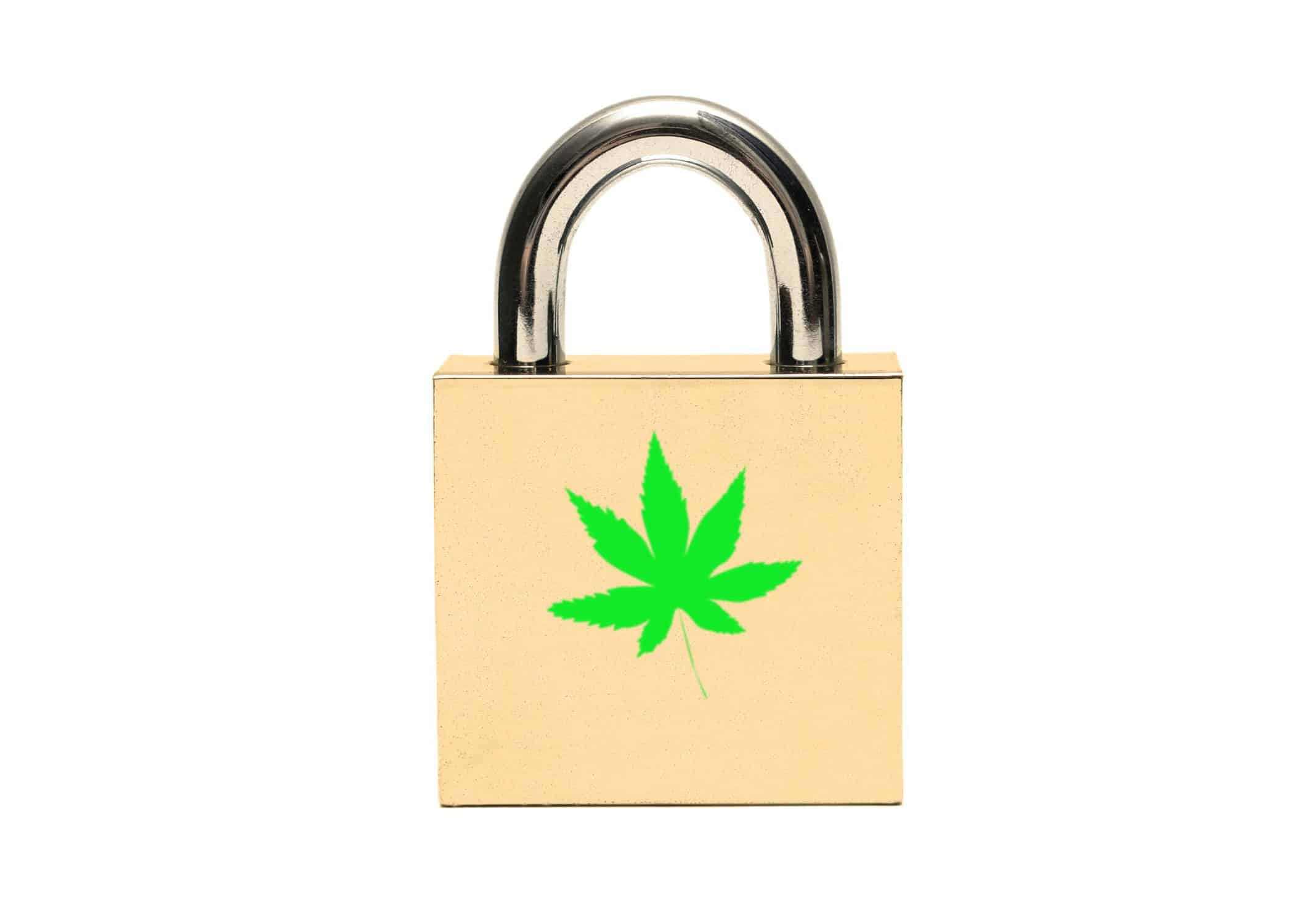 Keypad lock with marijuana leaf, Could cannabis prohibition come back to legal states