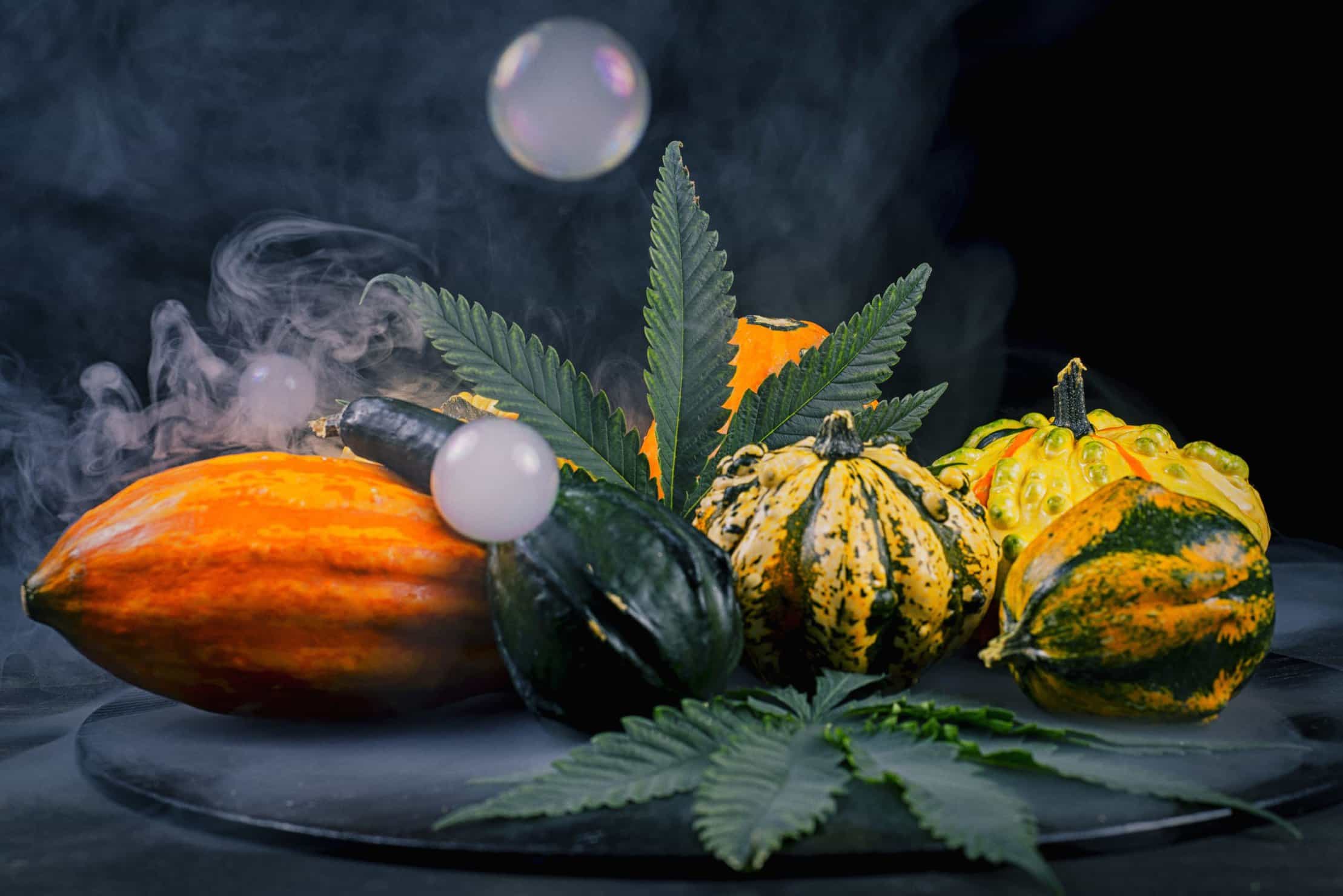 Amazing Guide to How To Grow Cannabis in Autumn