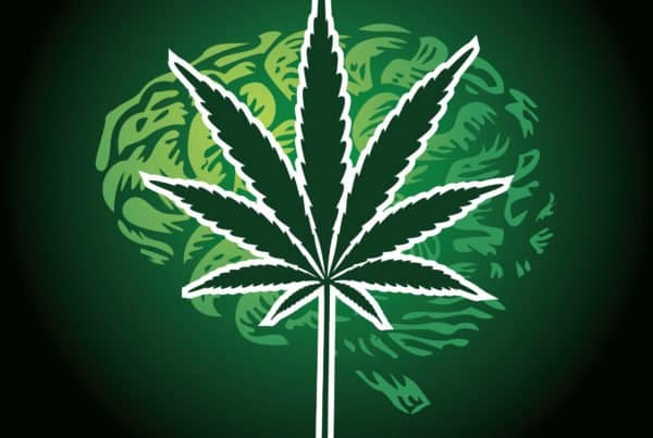 How To Prevent “Greening Out” from Marijuana. Marijuana leaf.