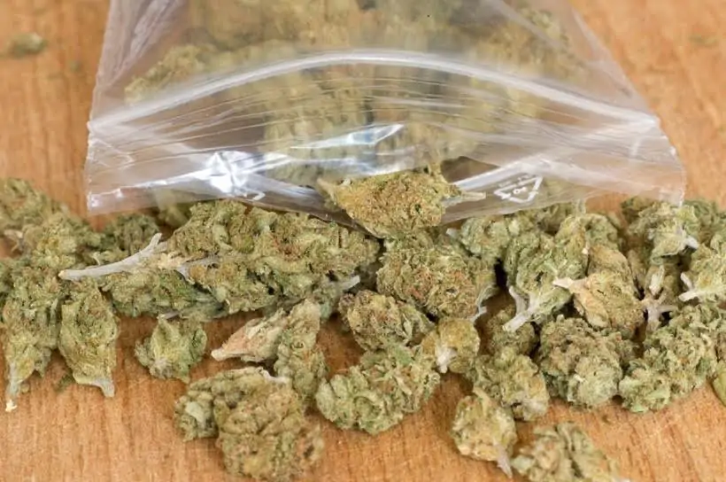 Tips For Saving Your Dry Cannabis Buds 1 Tips for saving your dry marijuana buds