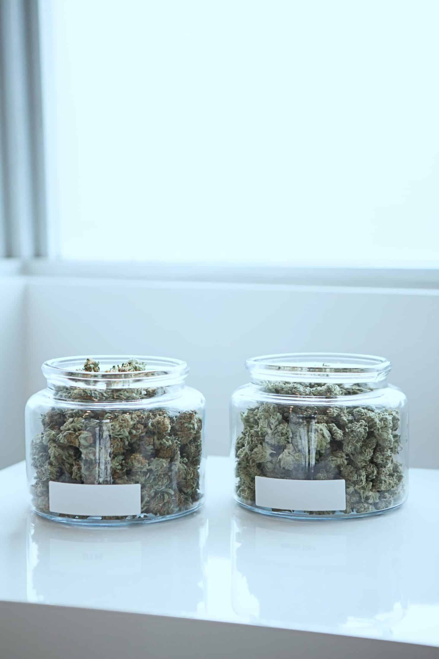 Why Dispensary Training Is Crucial For Employee Success