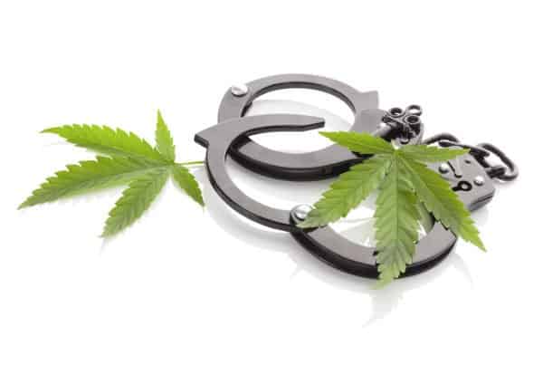 Handcuffs with cannabis leaves on a white background in compliance with cannabis laws.