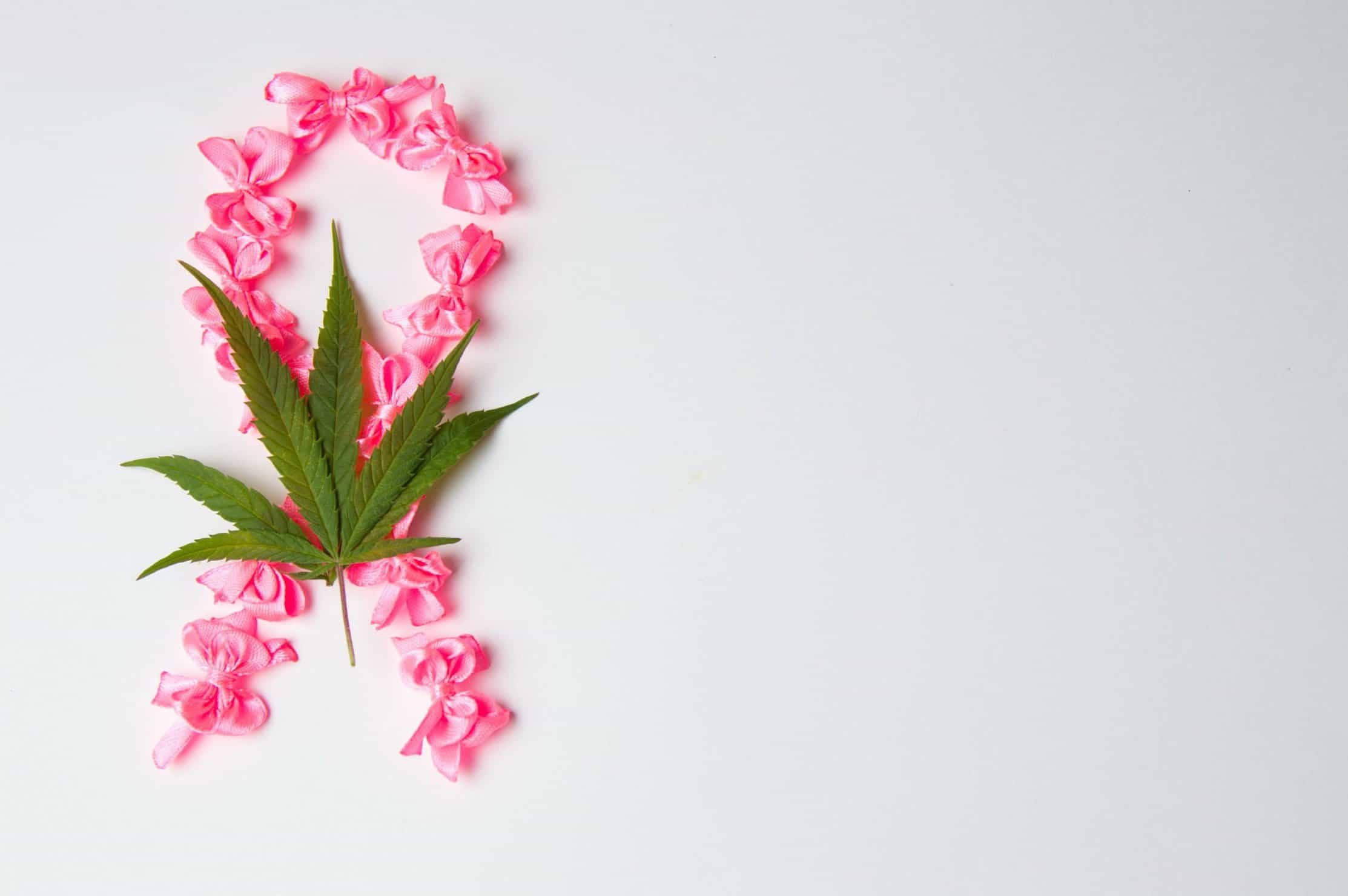 Cannabis Treatment for Breast Cancer: What To Know