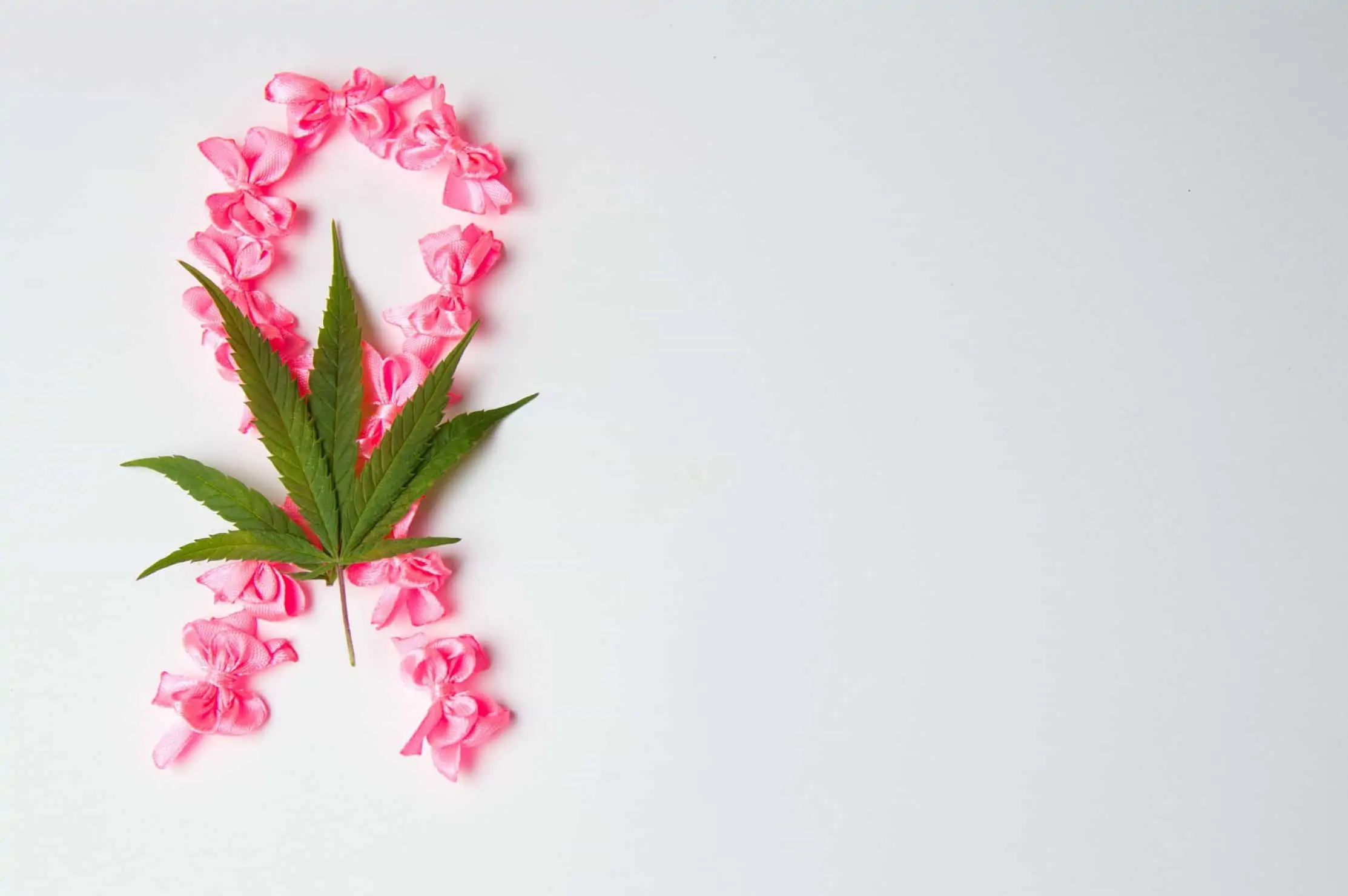 Marijuana Treatment for Breast Cancer. Flowers under a marijuana leaf