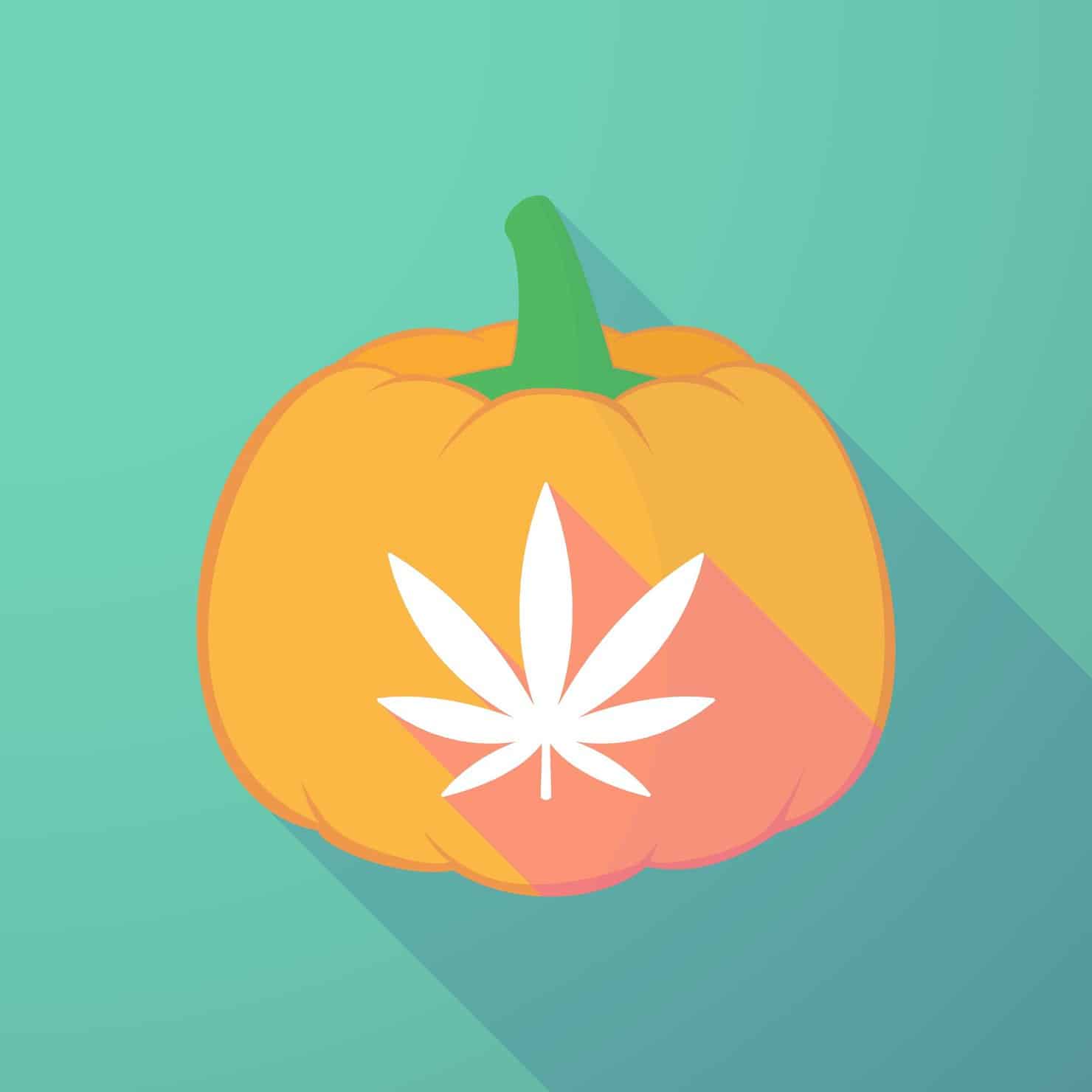 Fifteen Spooky Marijuana Strains for Halloween. Pumpkin with marijuana leave on it.