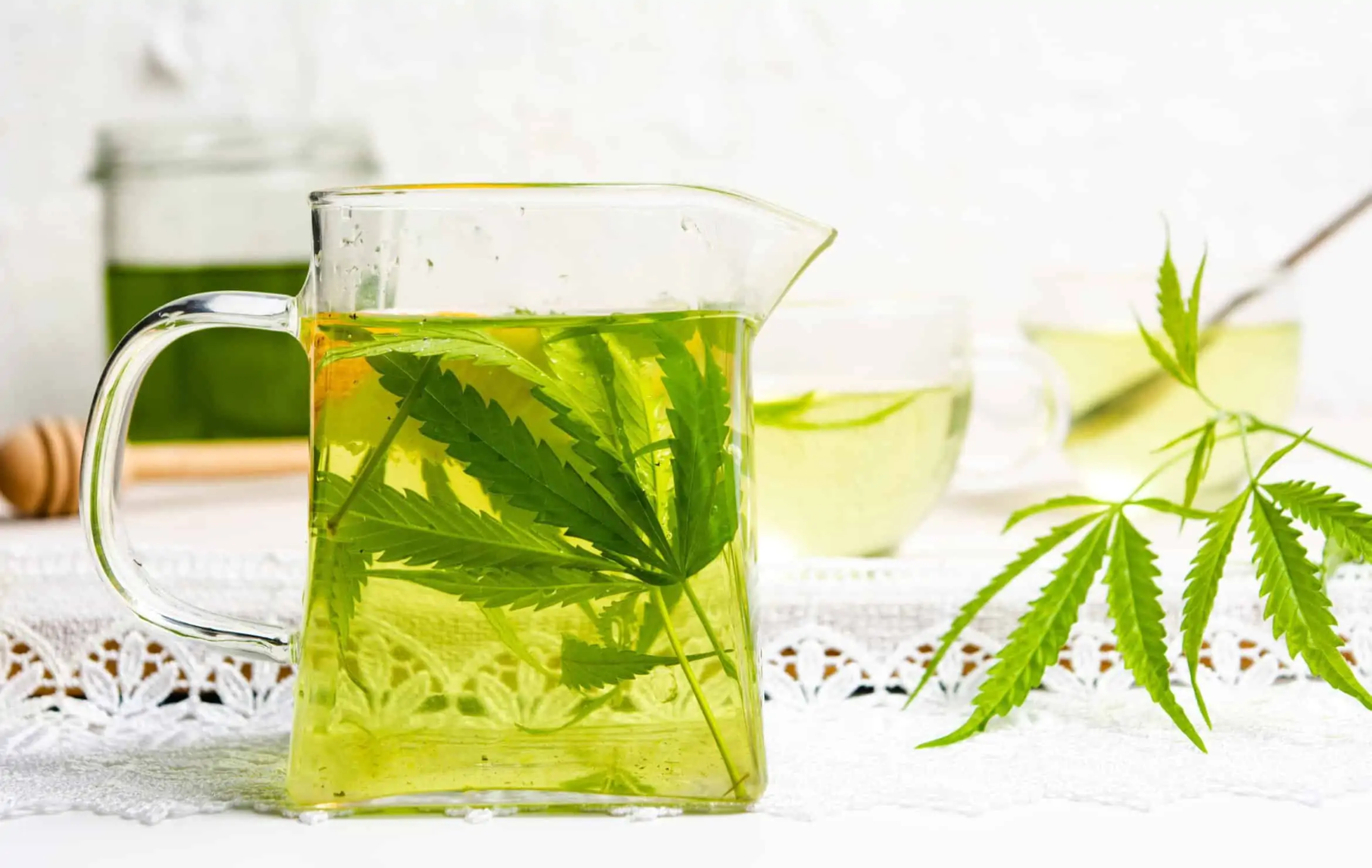 How Cannabis & Other Healthy Herbs May Help With Weight Loss