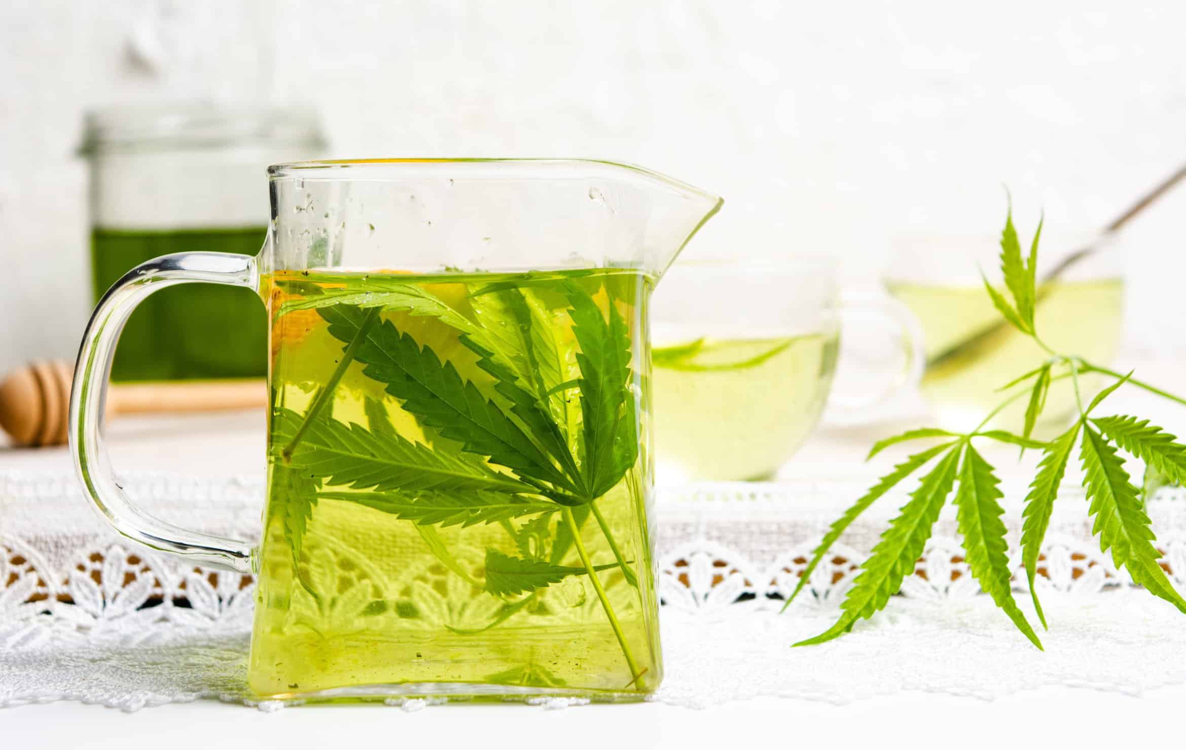 How Marijuana & Other Healthy Herbs May Help With Weight Loss