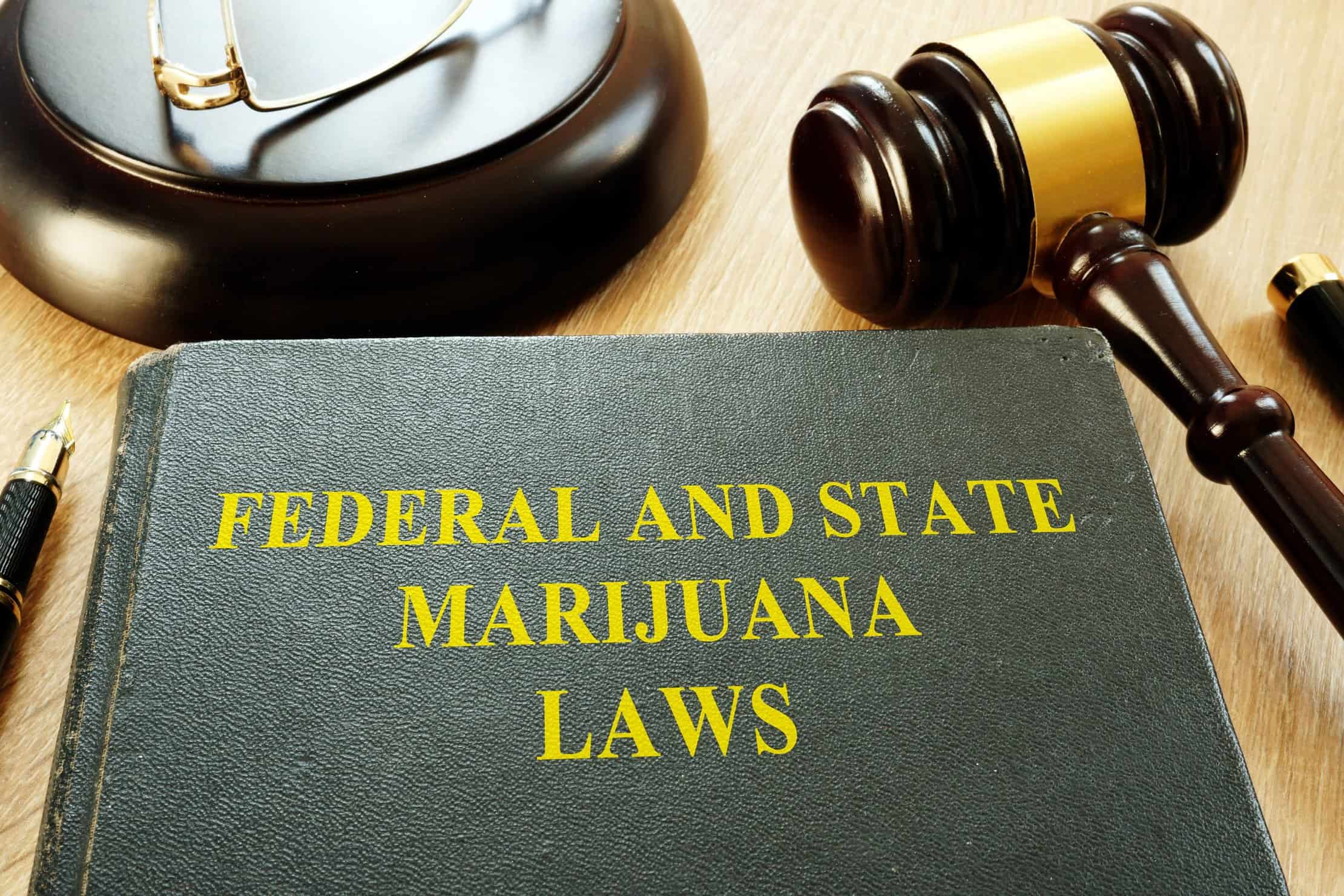 How To Become A Marijuana Industry Lawyer. Book titled Federal And State Marijuana Laws