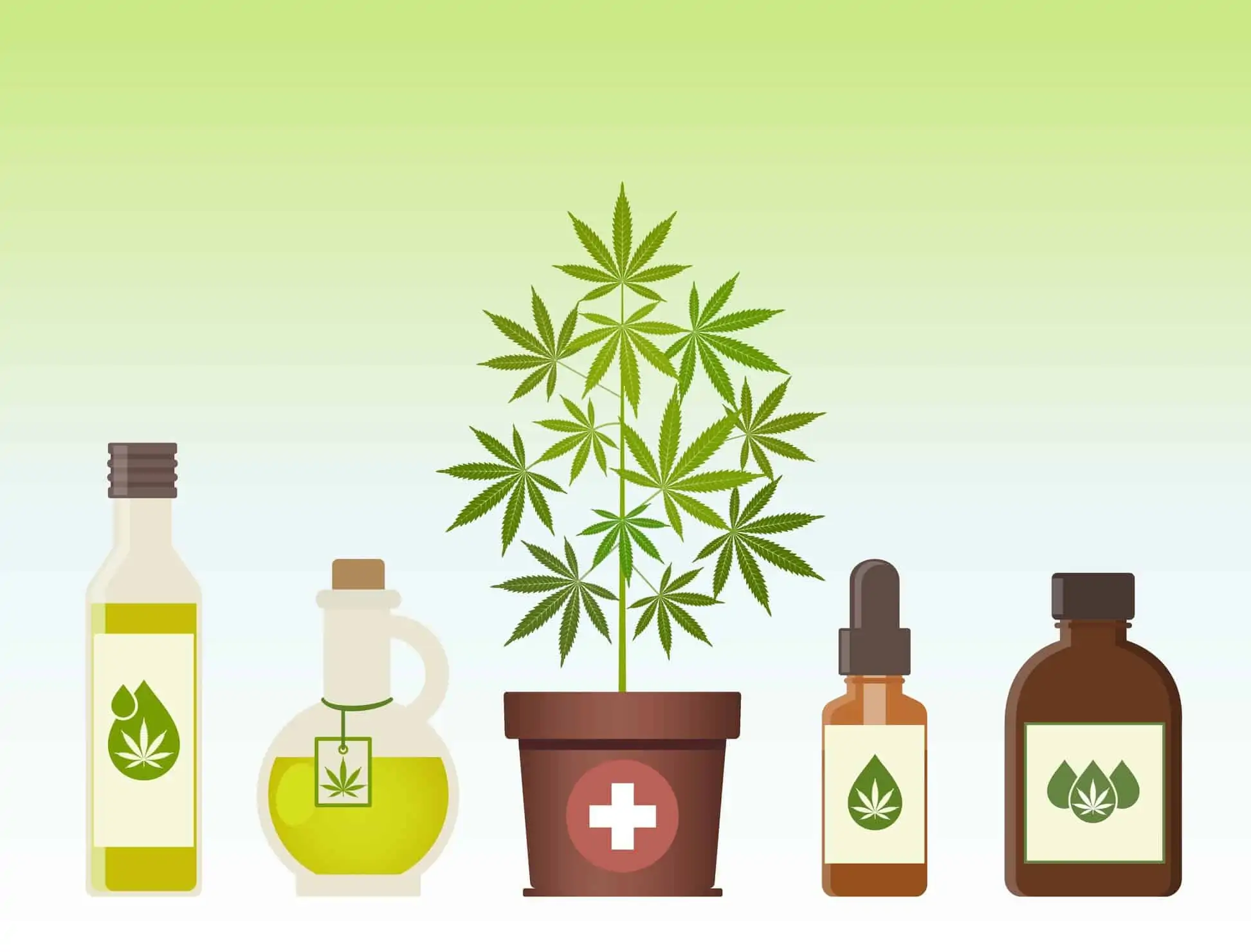Some Basic Rules Around Good Marijuana Product Packaging. Different forms of cannabis.