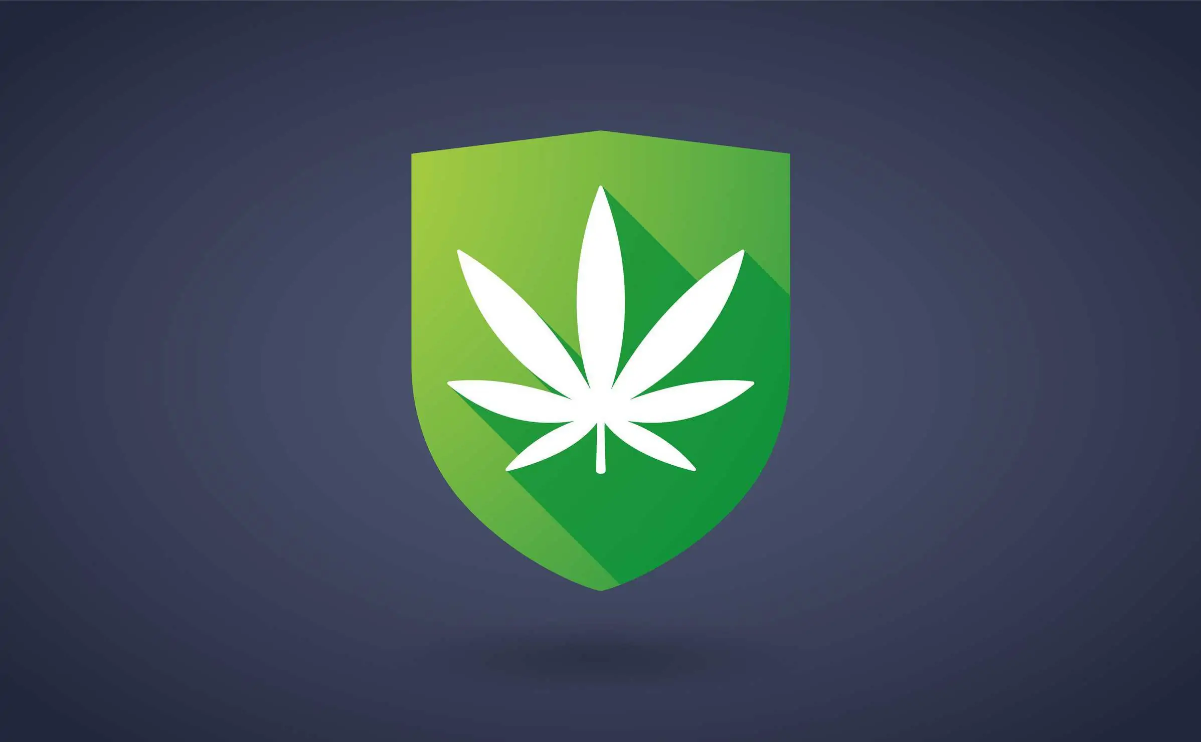 Top Security Tips For Your Marijuana Grow. Cannabis leaf in a shield.