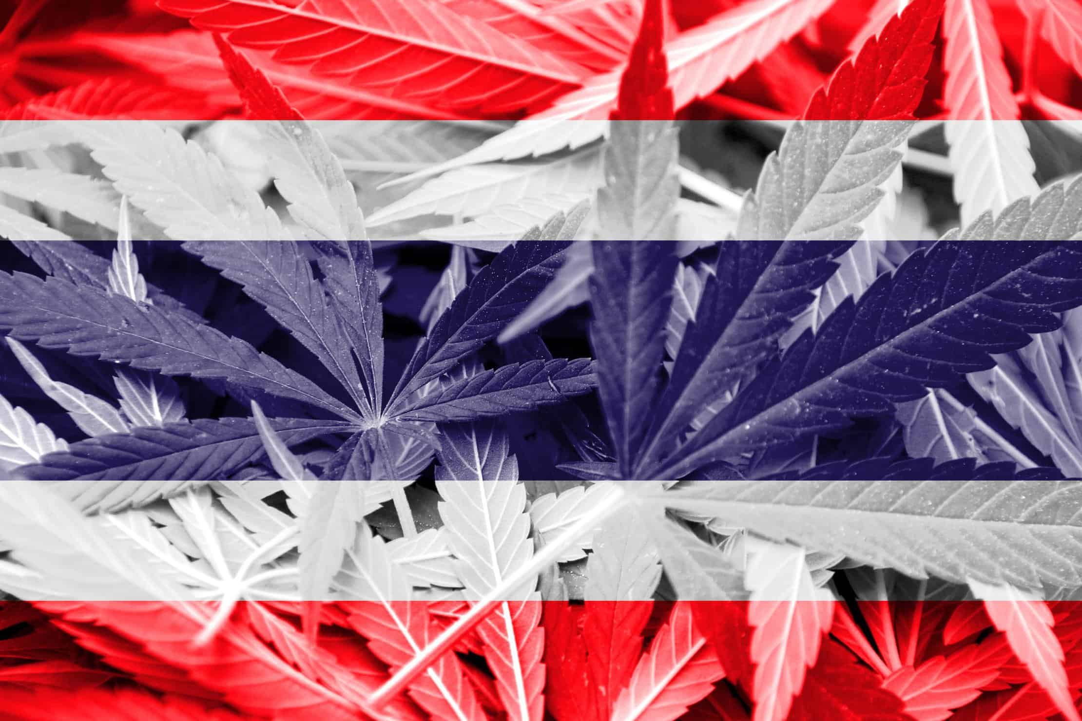 Will Thailand Consider Cannabis Legalization?