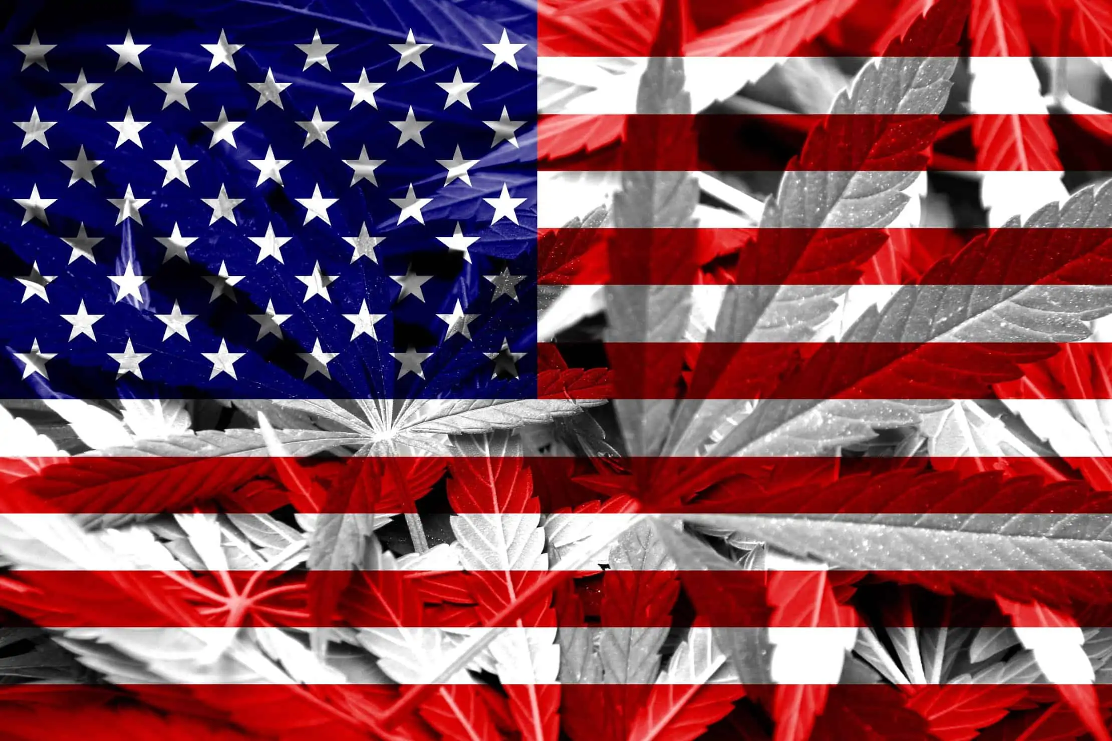 An Argument For Full Marijunana Legalization By 2021 In The USA. US flag with marijuana leaves.