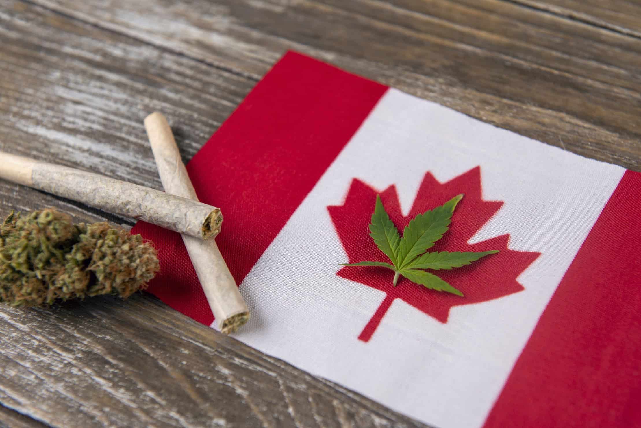 Marijuana Marketing and Advertising Rules in Canada. Canada flag with marijuana.