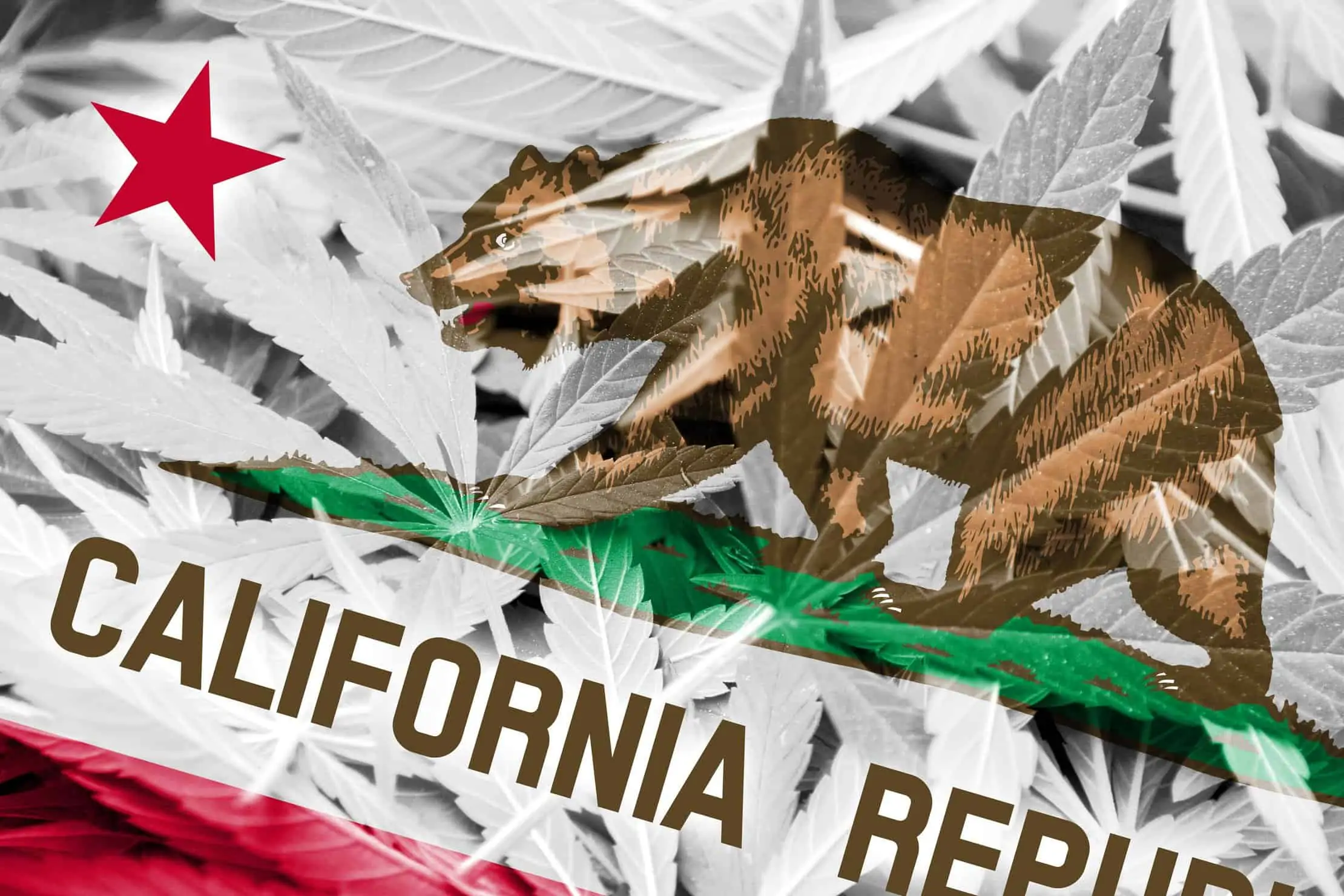 Changes to California Marijuana Access in 2018. California Republic flag. 