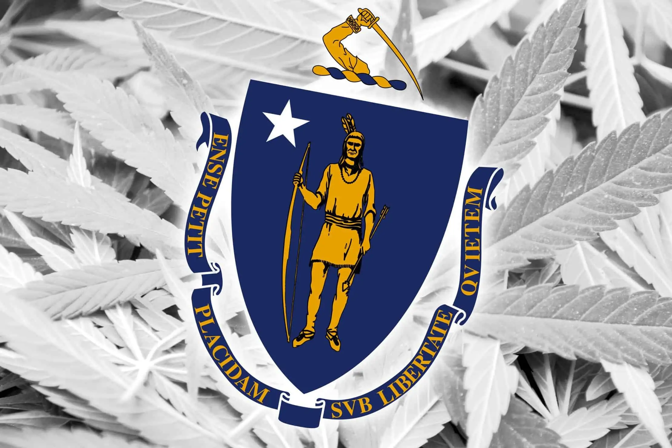 Massachusetts Dispensary To Start Selling Recreational Marijuana. Massachusetts emblem.