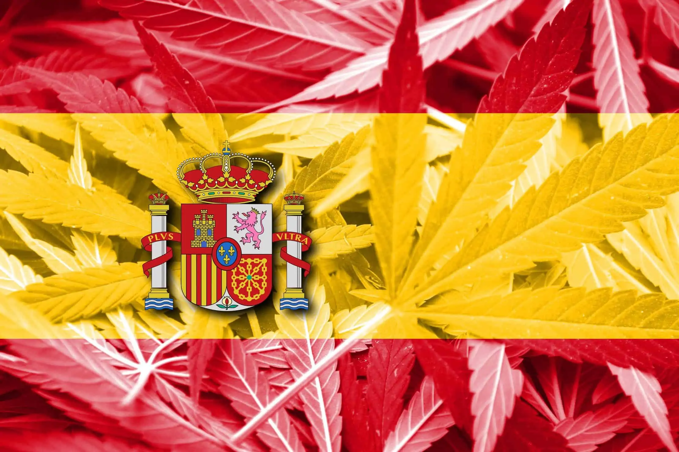 The State of Marijuana Hash in Spain. Spain flag with marijuana leaves.