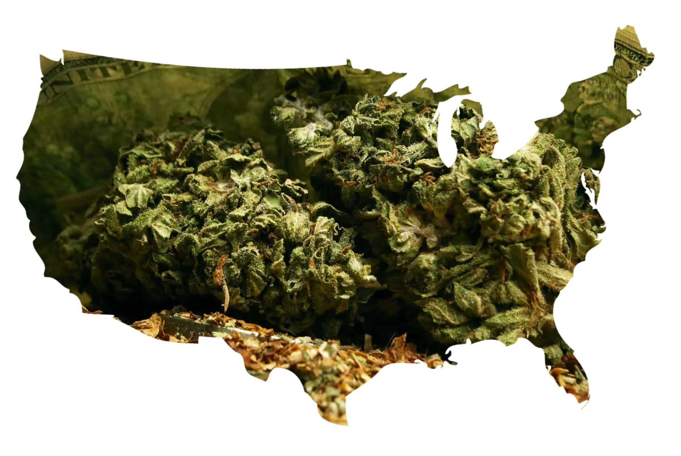 New Cannabis Laws in Utah, Missouri, and Michigan: What To Know